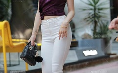 河北久盟国际赛鸽公棚(春棚)